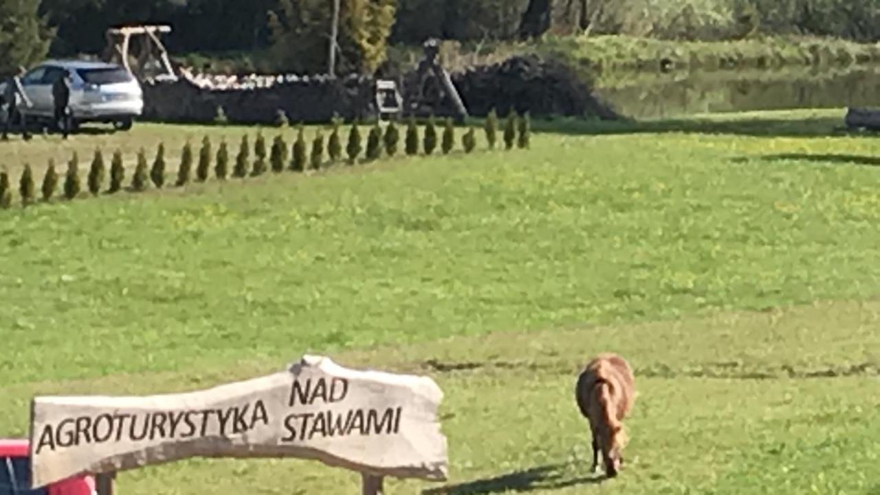 Agroturystyka Nad Stawami Szemud Exteriér fotografie