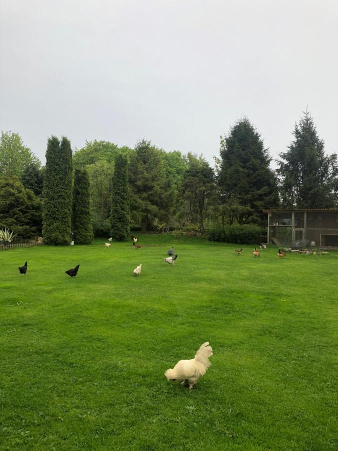 Agroturystyka Nad Stawami Szemud Exteriér fotografie