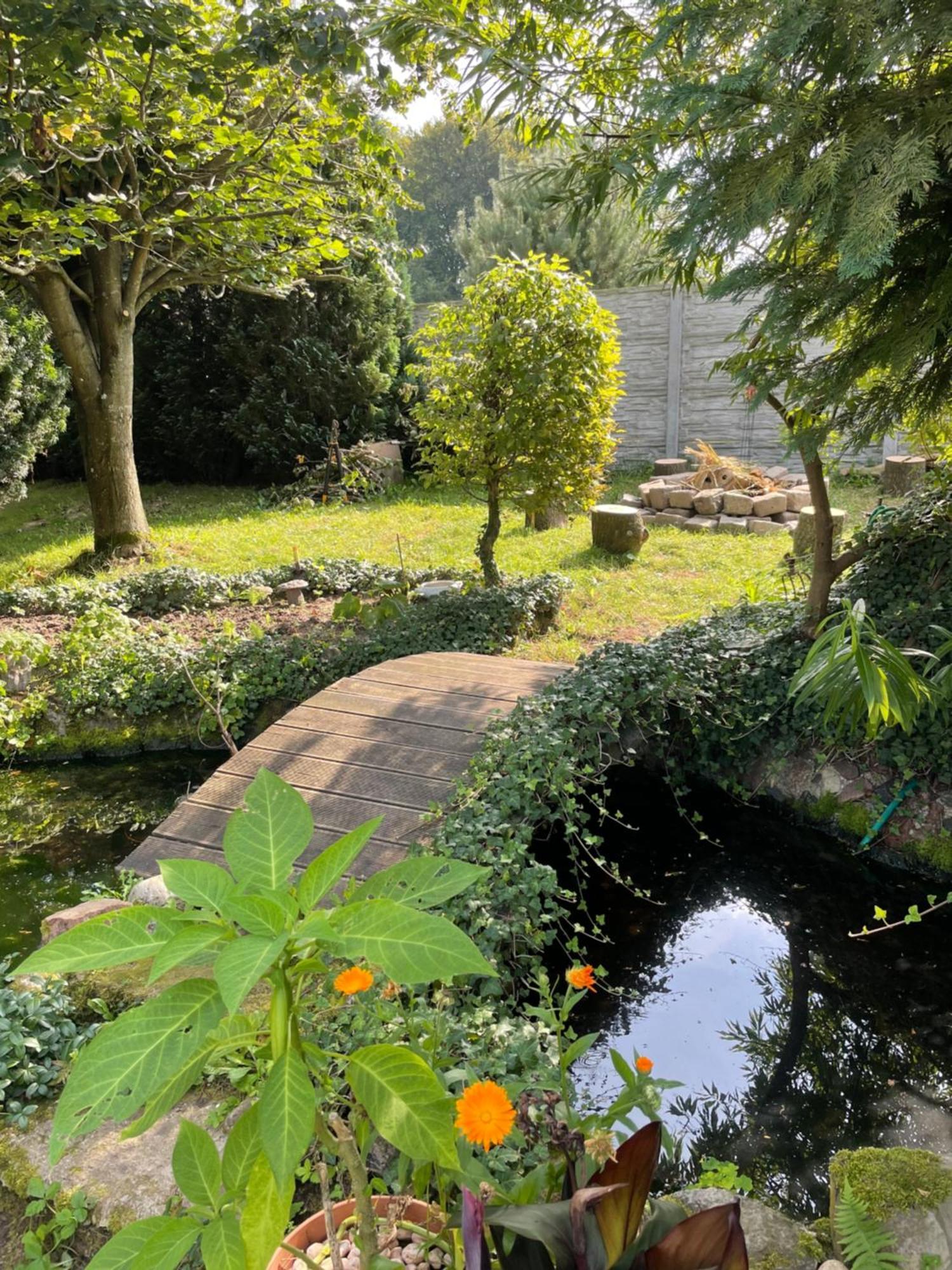 Agroturystyka Nad Stawami Szemud Exteriér fotografie